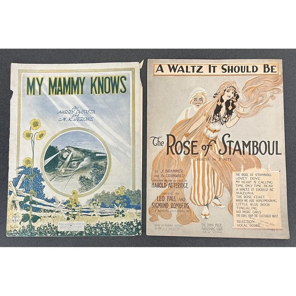 Lot of 15 Sheet Music Pieces Cover Art Musicals Movies Crafts Scrapbooking